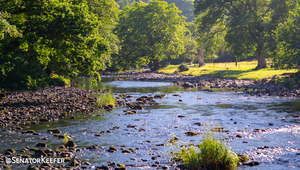 A shallow creek of water surrounded by trees and fields.