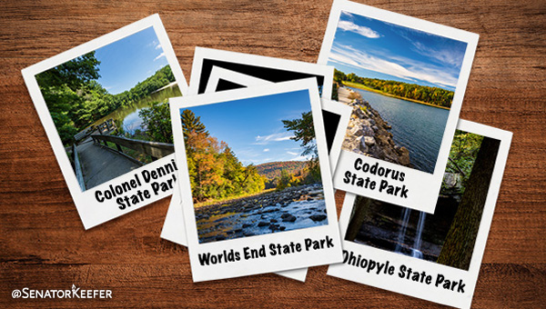 Wood board with pictures of Pennsylvania State Parks.