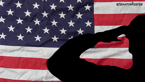 American flag with a person saluting it.