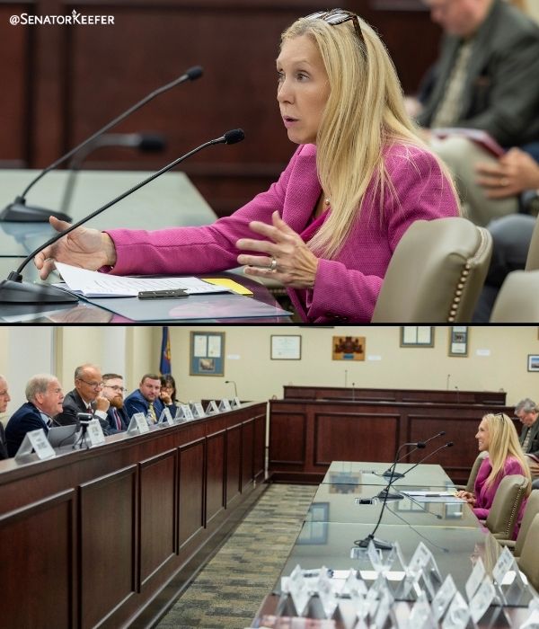 The first photo shows Sen. Dawn Keefer speaking at a PA House Local Government Committee meeting. The second photo shows the House Local Government Committee members asking the Senator questions about her Senate Bill 1287.