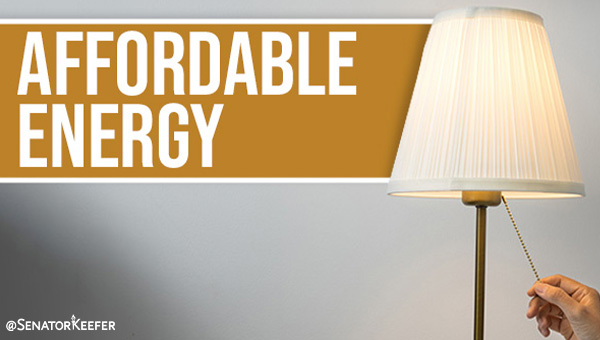 Graphic shows a lamp being turned on with the words “Affordable Energy”.