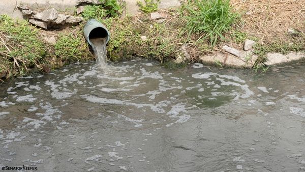 Water flowing from a drainage pipe into a stream.