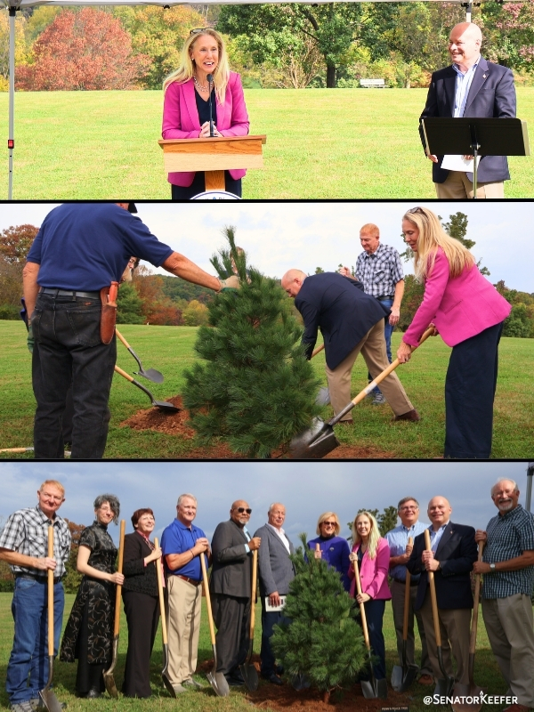 First picture of Senator Dawn Keefer speaking at the William Penn Peace Tree Initiative in John Rudy Park, York. Second picture of Sen. Keefer putting dirt on the tree being planted. Third picture of everyone who attended and helped to plan the tree.